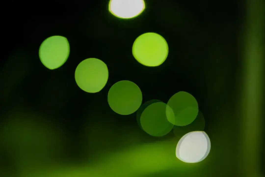 Digital Oblivion Fantasy